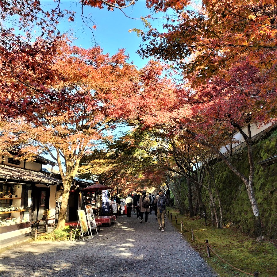 三千院の美しい紅葉と可愛らしいわらべ地蔵は必見