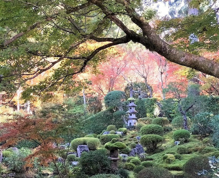 三千院の美しい紅葉と可愛らしいわらべ地蔵は必見