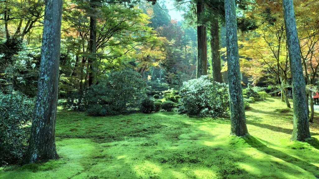 三千院の美しい紅葉と可愛らしいわらべ地蔵は必見