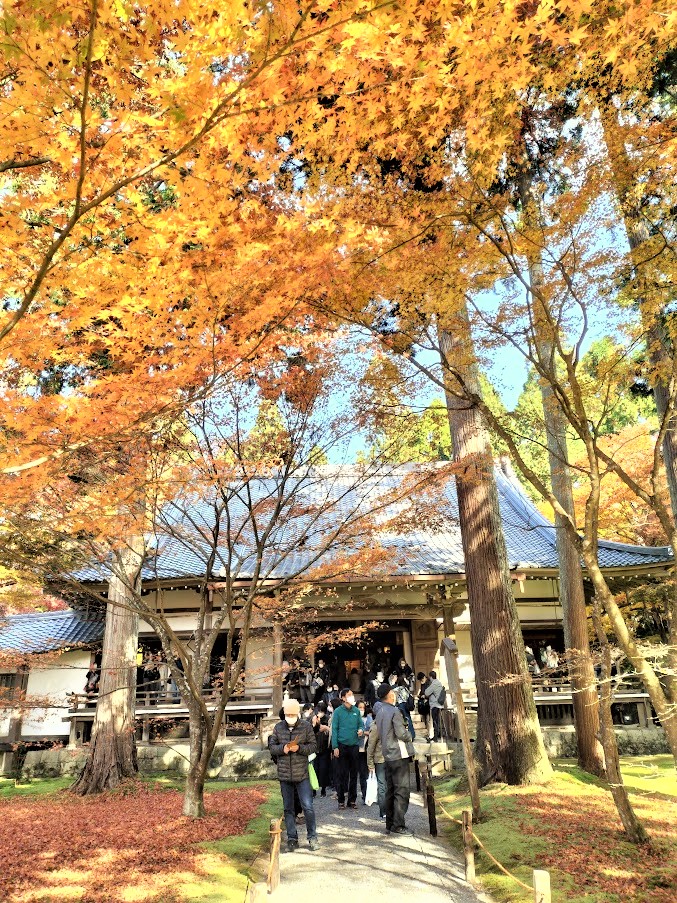 三千院の美しい紅葉と可愛らしいわらべ地蔵は必見