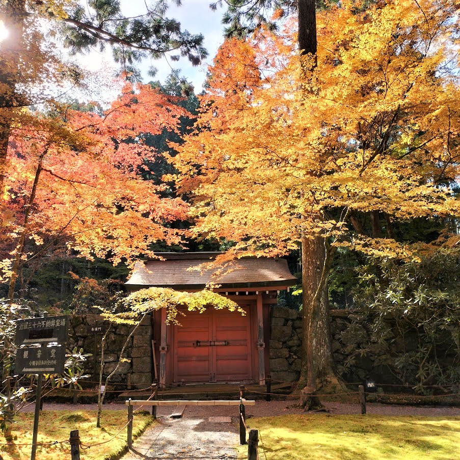 三千院の美しい紅葉と可愛らしいわらべ地蔵は必見