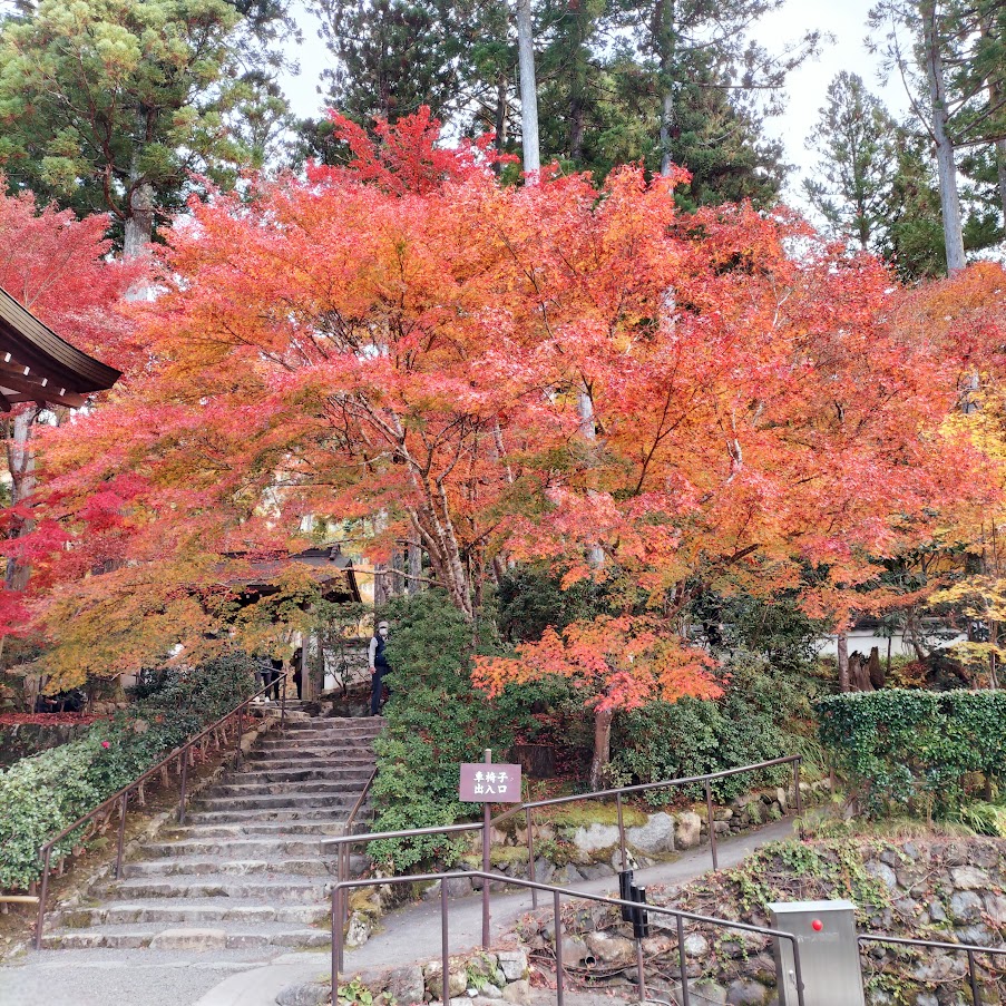 三千院の美しい紅葉と可愛らしいわらべ地蔵は必見