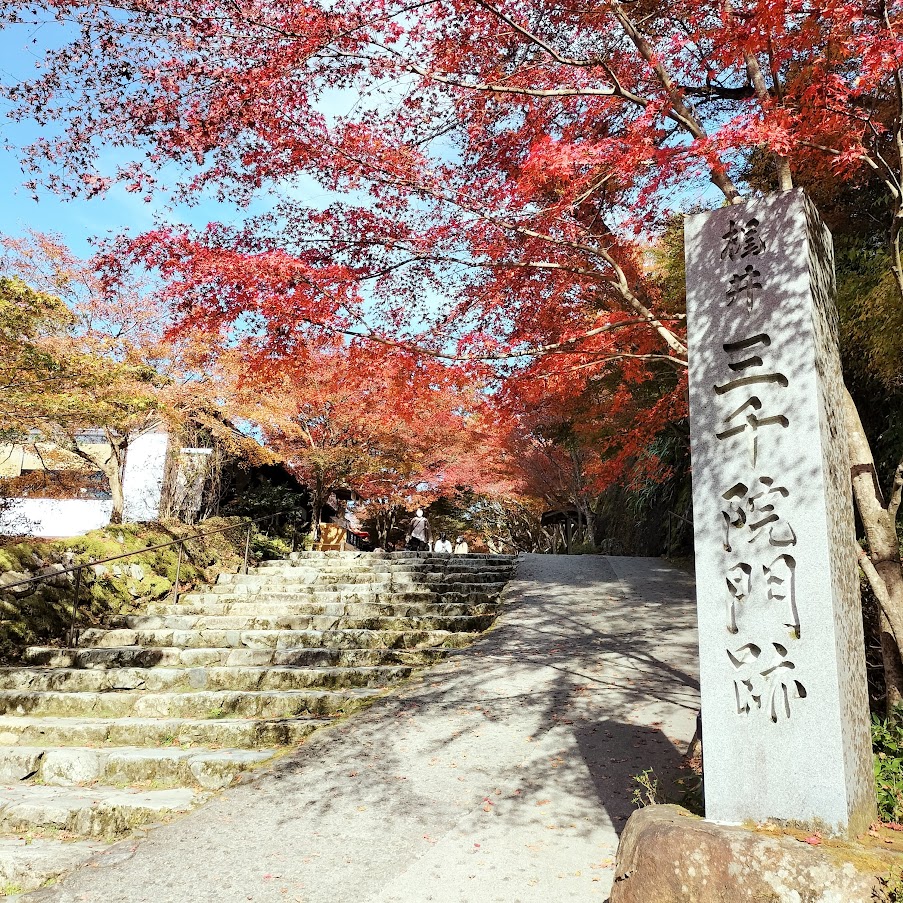 三千院の美しい紅葉と可愛らしいわらべ地蔵は必見