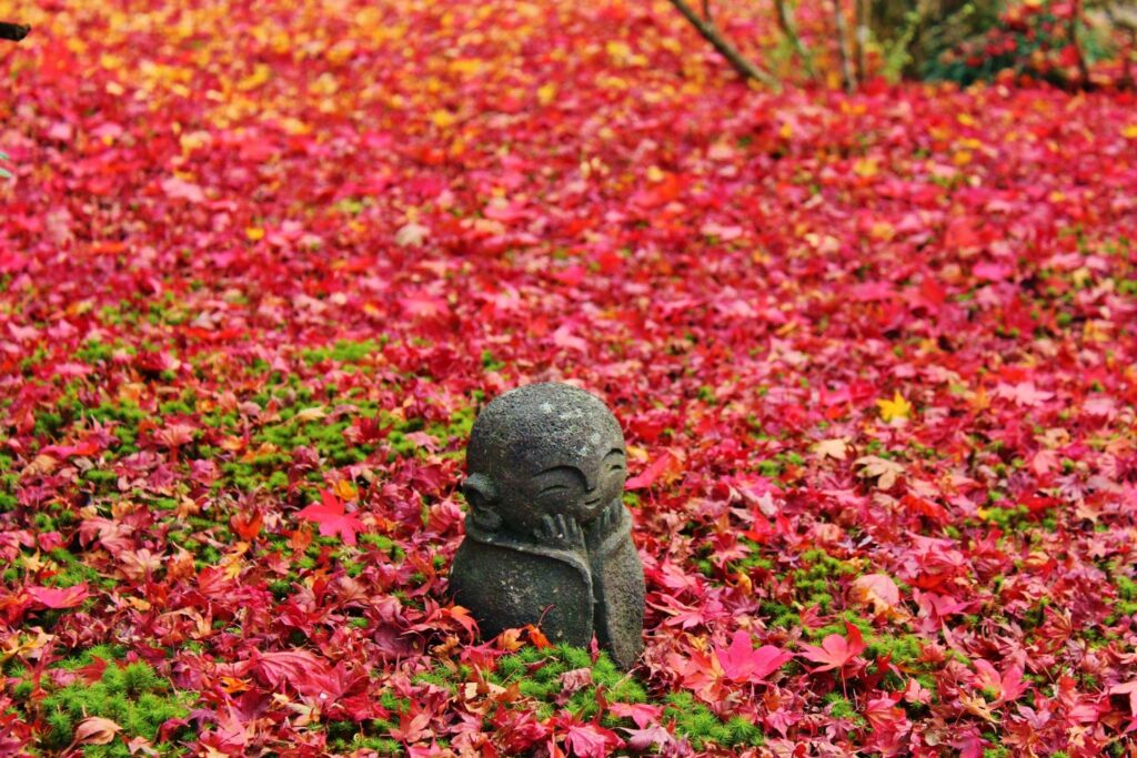 京都寺社で楽しむ可愛いお地蔵さん3選【保存版】