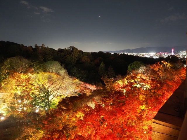 清水寺　ライトアップ