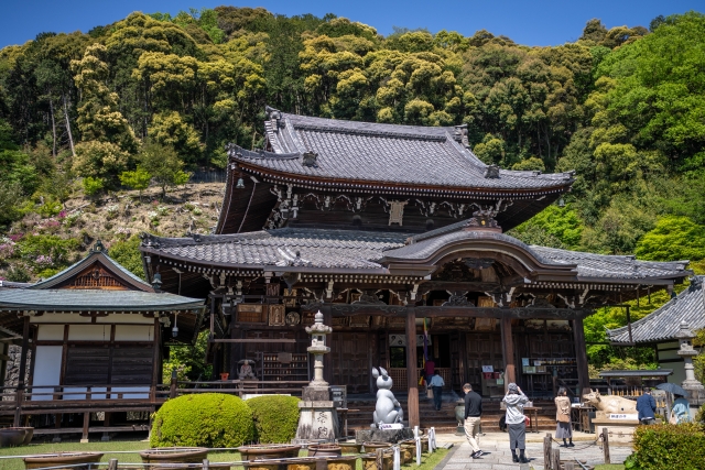 三室戸寺 本堂