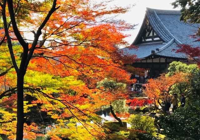 金戒光明寺　紅葉