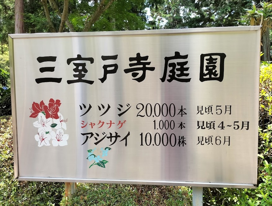 見頃は6月！京都屈指の美しい紫陽花を楽しめる三室戸寺@宇治