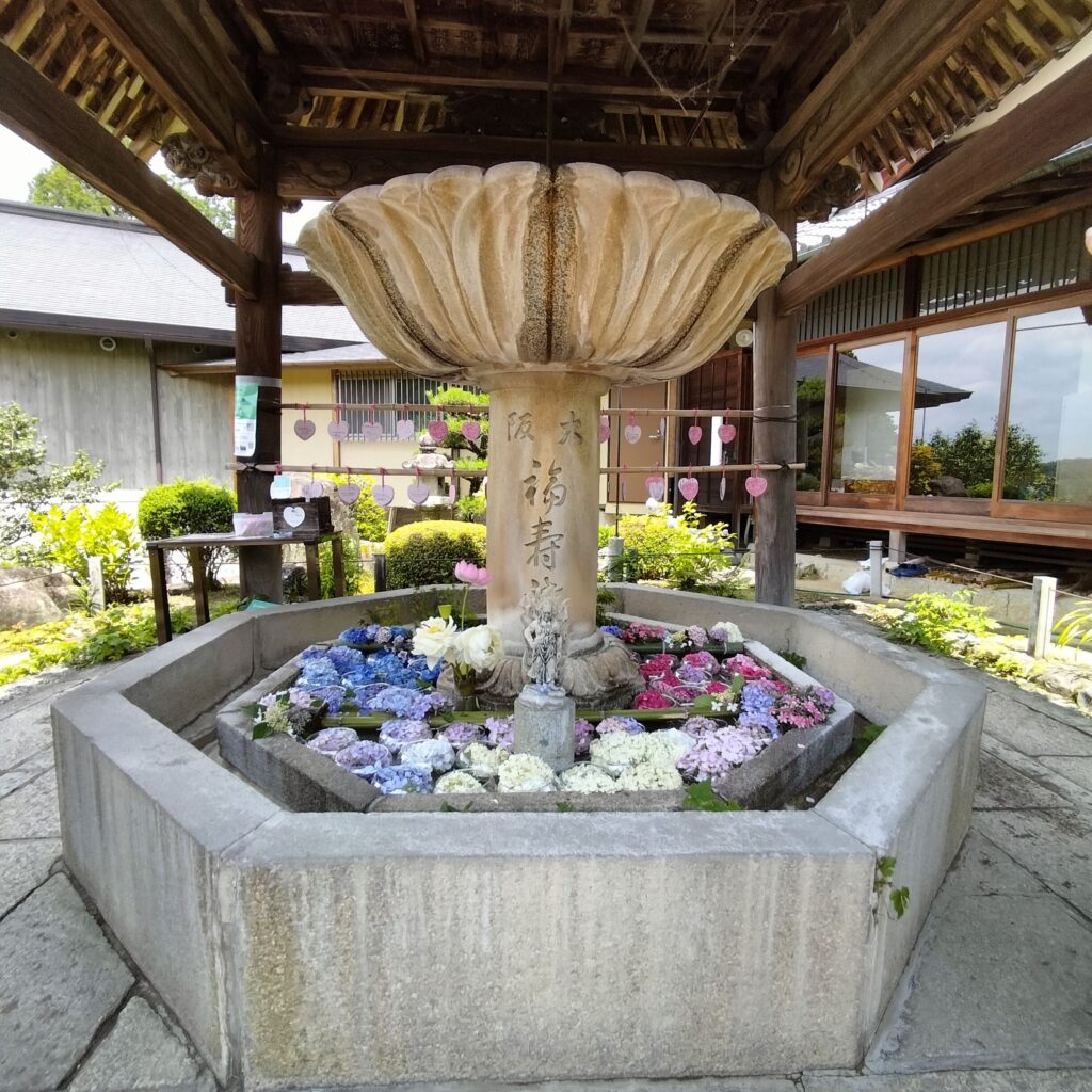 見頃は6月！京都屈指の美しい紫陽花を楽しめる三室戸寺@宇治