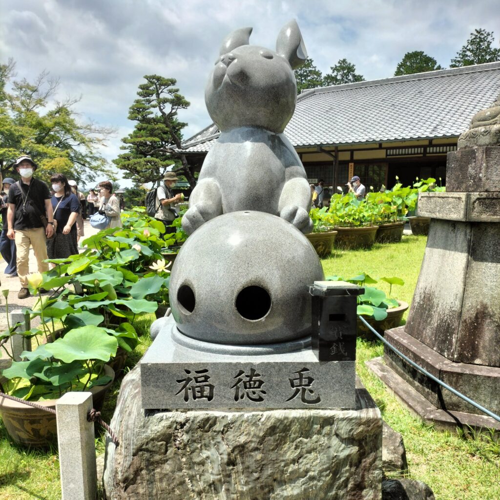 三室戸寺　うさぎ