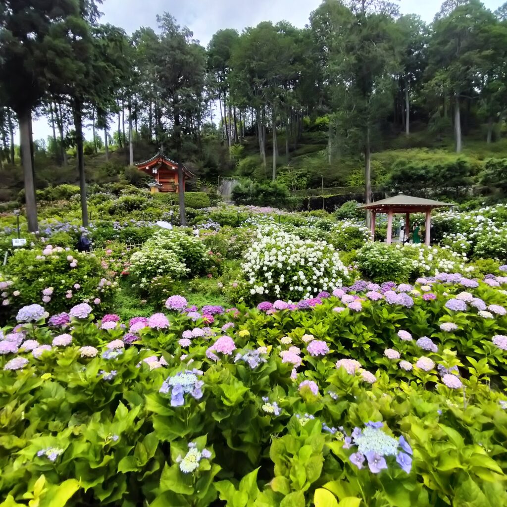 三室戸寺