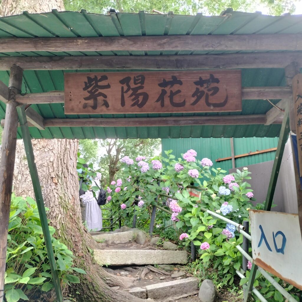 勝負と馬の神様！6月の藤森神社はあじさい苑が美しい