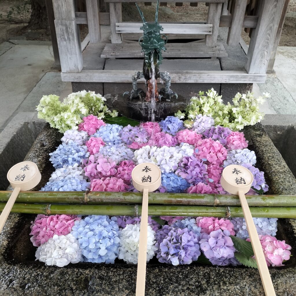 勝負と馬の神様！6月の藤森神社はあじさい苑が美しい