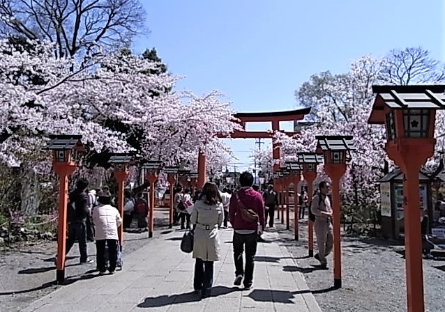 平野神社　神社