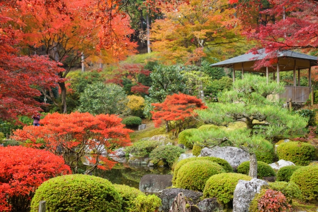 三室戸寺紅葉