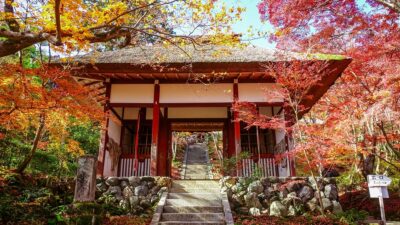 常寂光寺(じょうじゃっこうじ)