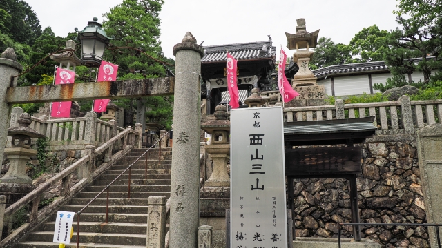 柳谷観音楊谷寺の概要