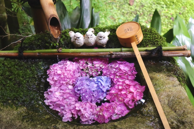 柳谷観音楊谷寺の概要