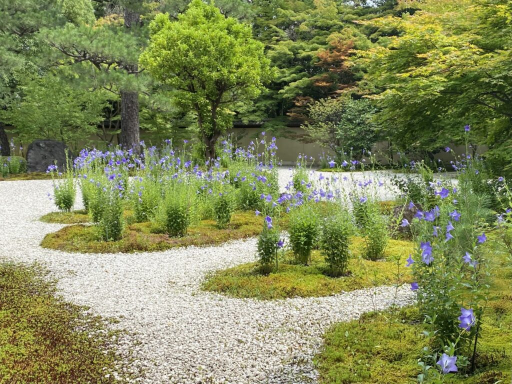 蘆山寺の概要