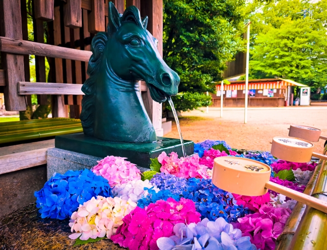 藤森神社　花手水