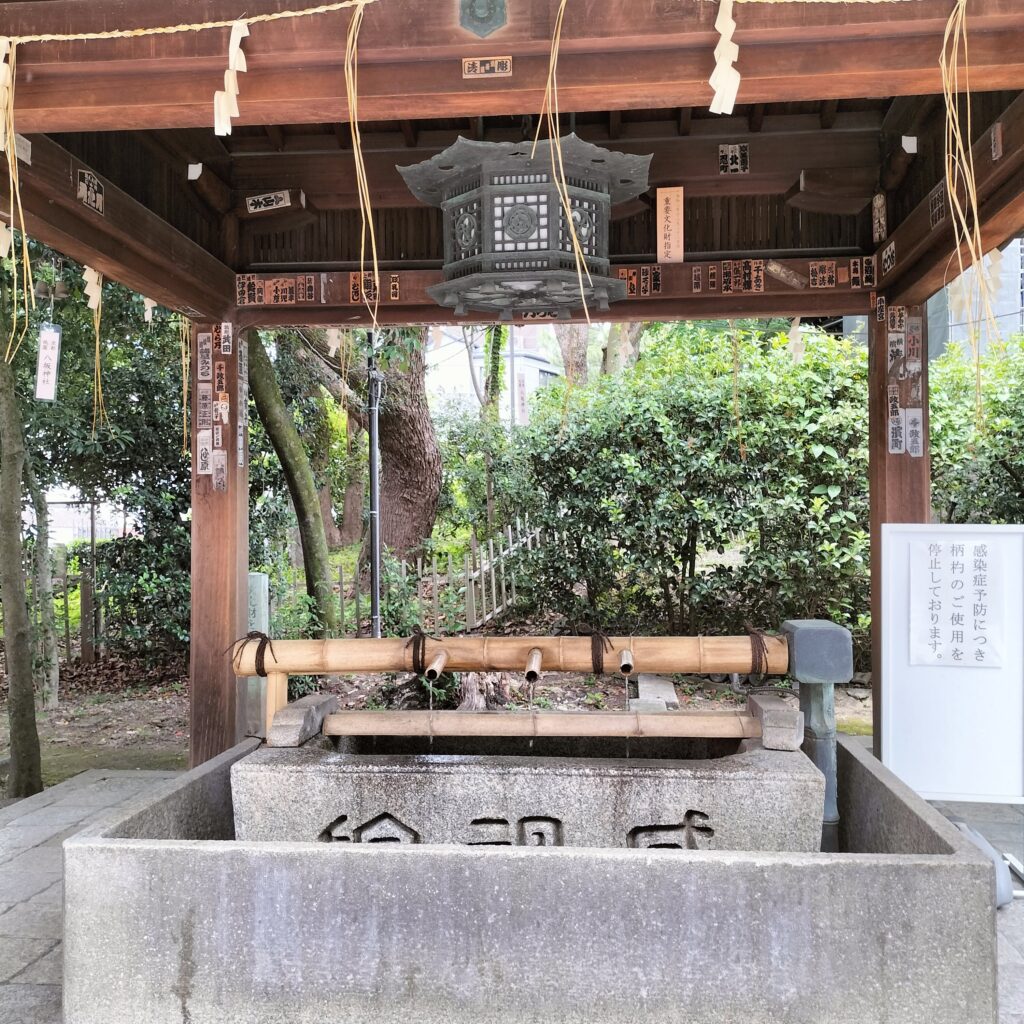 京都6月は夏越の祓い！八坂神社で茅の輪くぐりをしました