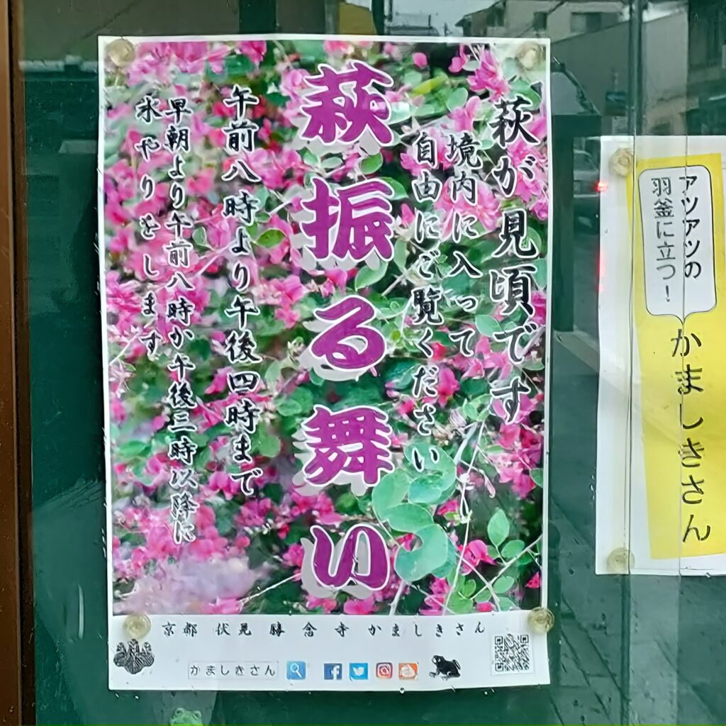 「萩振る舞い」は必見！勝念寺(かましきさん)は萩が美しい穴場