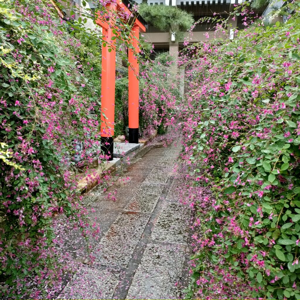 「萩振る舞い」は必見！勝念寺(かましきさん)は萩が美しい穴場