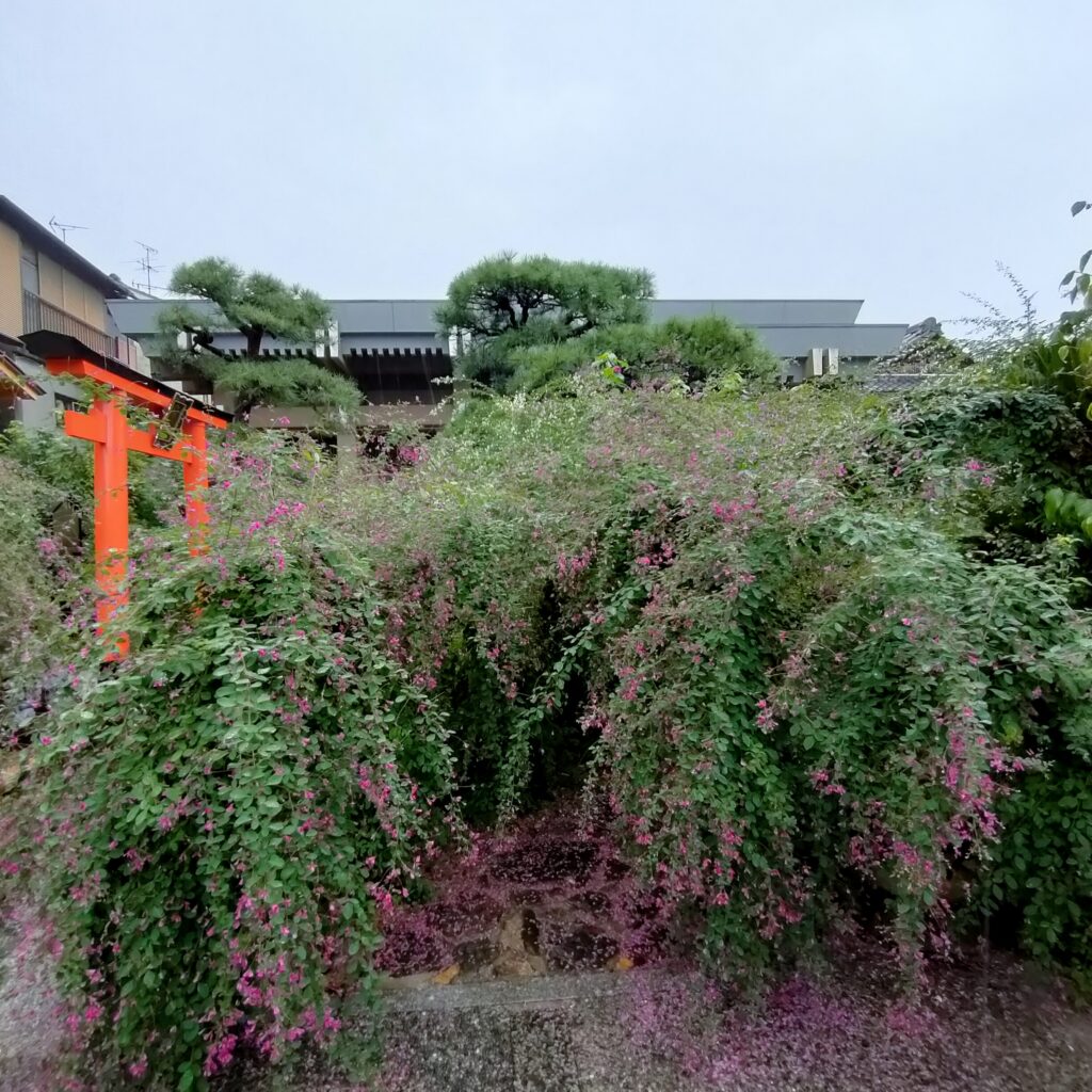 「萩振る舞い」は必見！勝念寺(かましきさん)は萩が美しい穴場