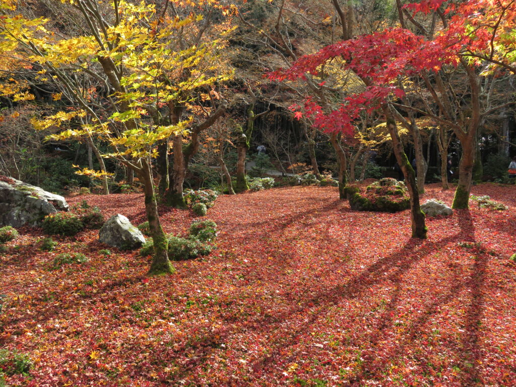 圓光寺の概要