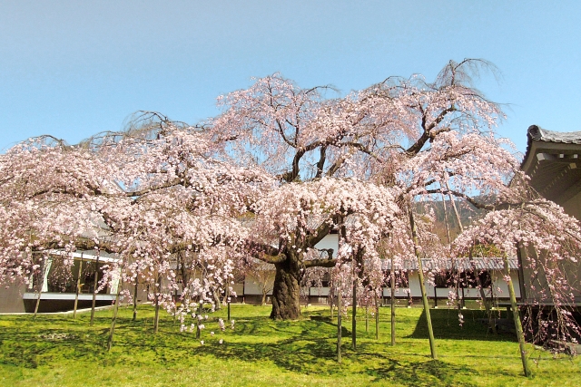 醍醐寺の概要