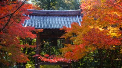 西明寺(さいみょうじ)