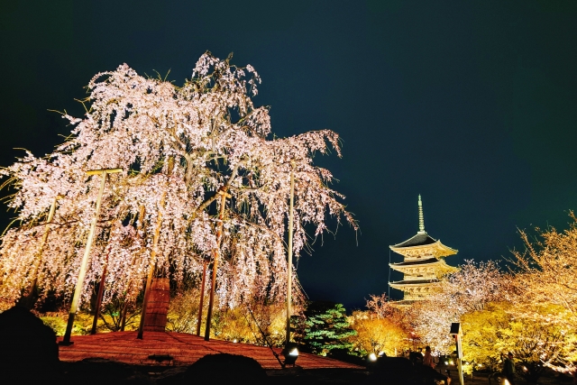 東寺の概要