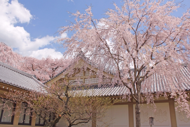 醍醐寺の概要