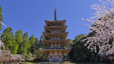 醍醐寺(だいごじ)