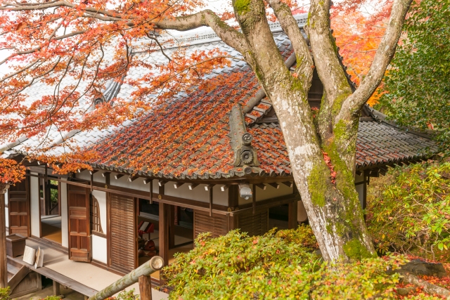 霊鑑寺の概要