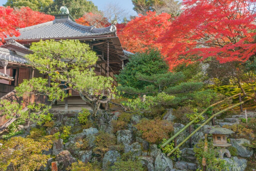 霊鑑寺の概要