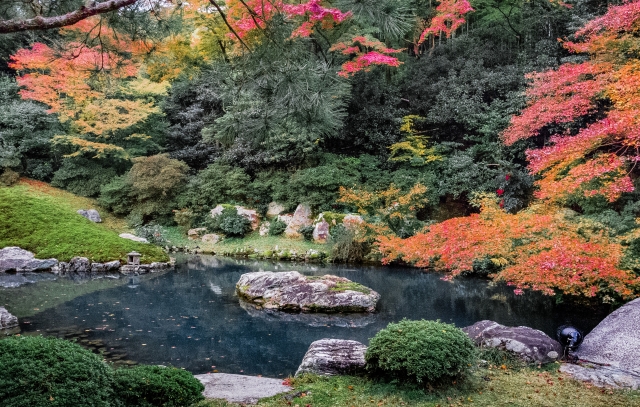 青蓮院の概要