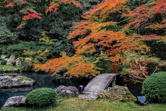 青蓮院の概要