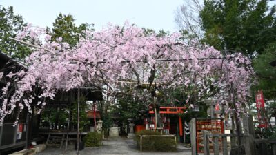 水火天満宮(すいかてんまんぐう)