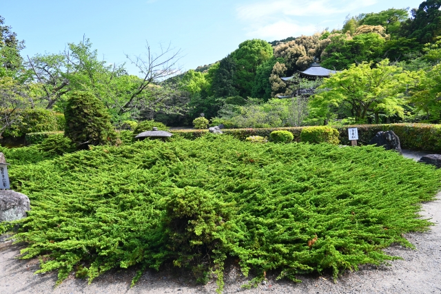 勧修寺の概要