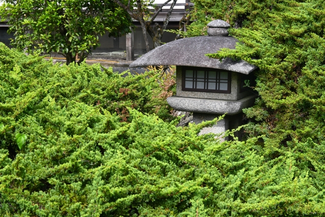 勧修寺の概要