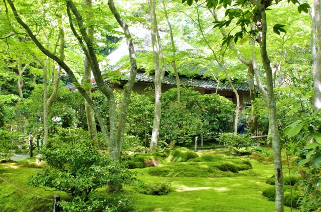 祇王寺の概要