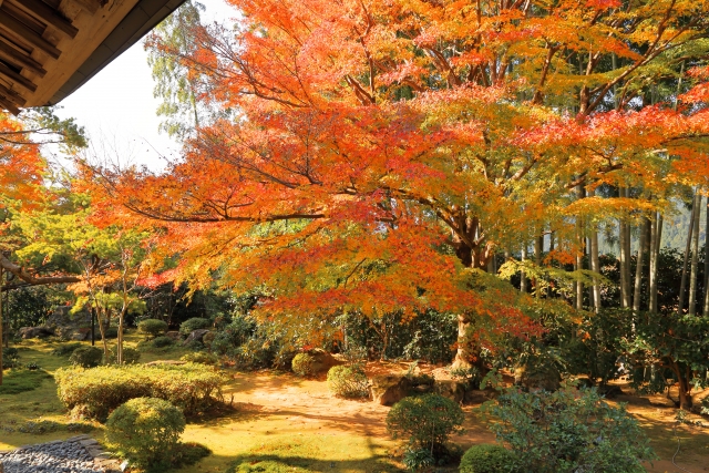 宝泉院の概要