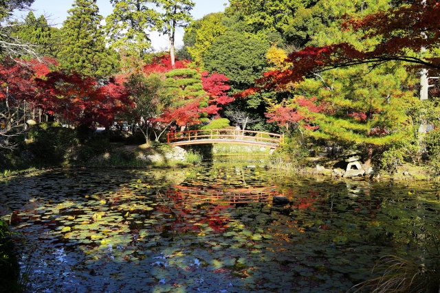 大原野神社の概要