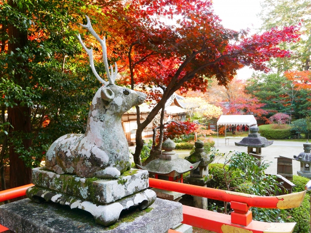 大原野神社の概要