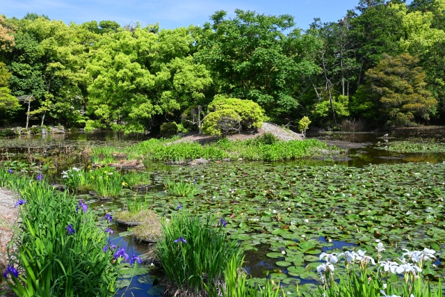 勧修寺の概要