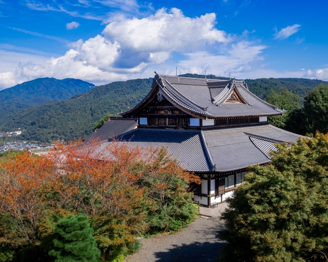 青蓮院の概要