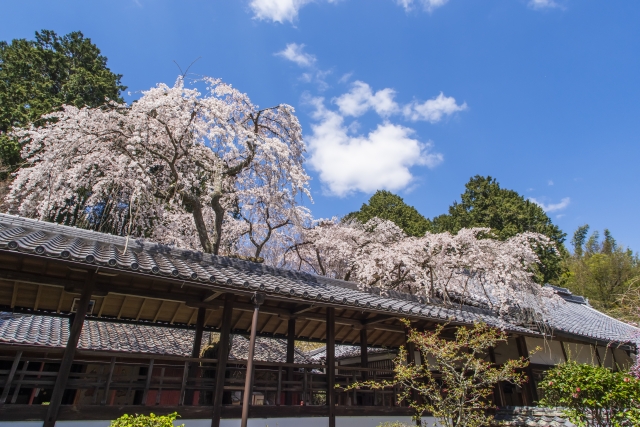 十輪寺の概要