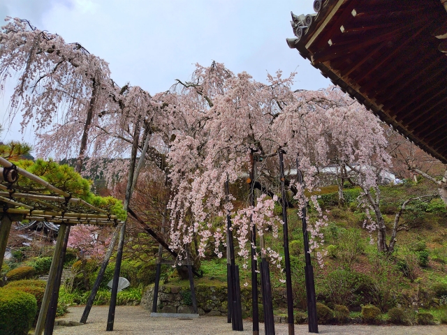 善峯寺の概要