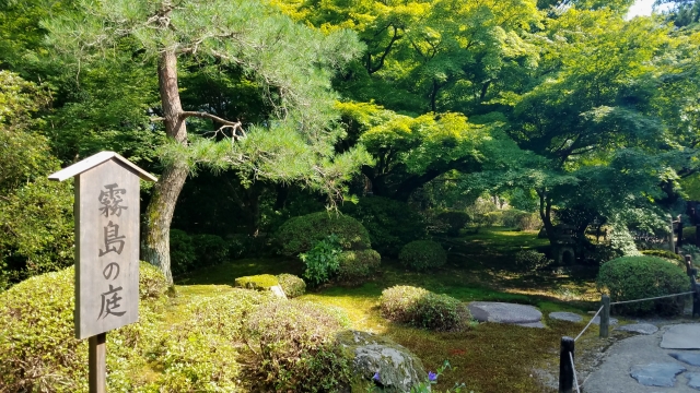 青蓮院の概要